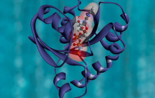 CRISPR Verfahren in der Medizin